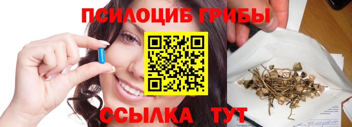 Лысьва  Псилоцибиновые грибы мицелий  Псилоцибиновые грибы Cubensis  Вход с VPN 